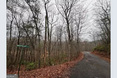 Lot 41 Whisper Woods Road #41, Hiawassee, GA 30546 - Photo 4