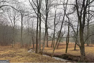 Lot 41 Whisper Woods Road #41, Hiawassee, GA 30546 - Photo 10