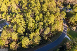 V/L 177 Sunrise Dr, Woodbine, GA 31569 - Photo 1