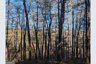 0 Ivylog Drive, Blairsville, GA 30512 - Photo 4