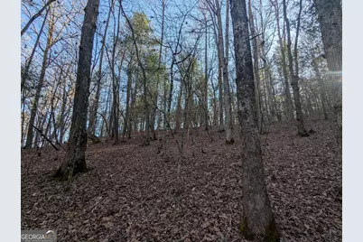 0 Ivylog Drive, Blairsville, GA 30512 - Photo 6