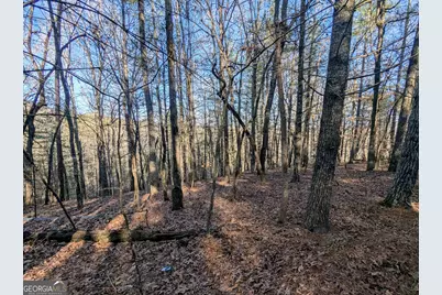 0 Ivylog Drive, Blairsville, GA 30512 - Photo 20