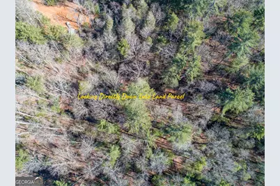 0 Bartox Drive, Ellijay, GA 30540 - Photo 8