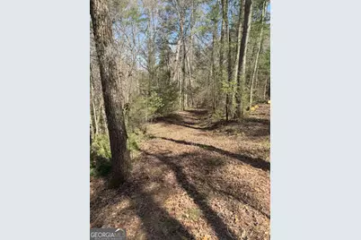 0 Bartox Drive, Ellijay, GA 30540 - Photo 32