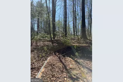 0 Bartox Drive, Ellijay, GA 30540 - Photo 26