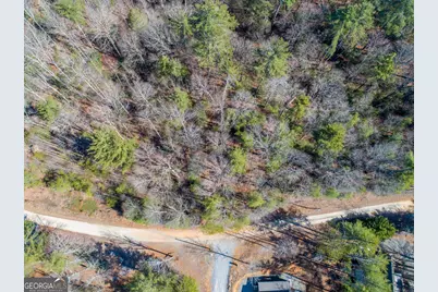 0 Bartox Drive, Ellijay, GA 30540 - Photo 10