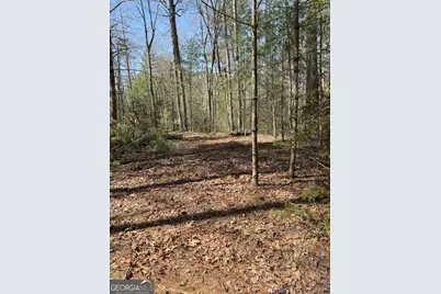 0 Bartox Drive, Ellijay, GA 30540 - Photo 24