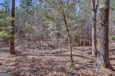 Lot 28 Benjamin Brown Court, Elberton, GA 30635 - Photo 8