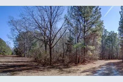 Lot 29 Benjamin Brown Court, Elberton, GA 30635 - Photo 4