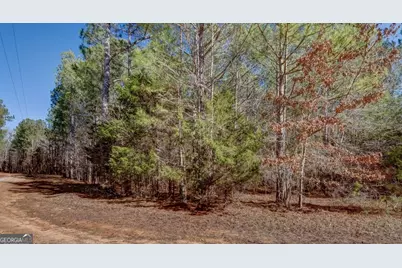Lot 29 Benjamin Brown Court, Elberton, GA 30635 - Photo 6