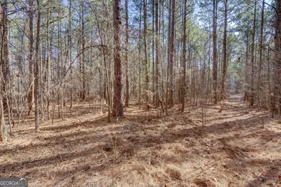 Lot 29 Benjamin Brown Court, Elberton, GA 30635 - Photo 10