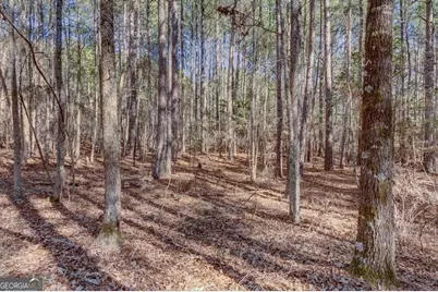 Lot 29 Benjamin Brown Court, Elberton, GA 30635 - Photo 8