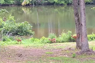 150 Crystal Ridge Dr, Milledgeville, GA 31061 - Photo 22