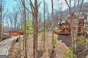 1601 Shady Falls Rd, Blue Ridge, GA 30513 - Photo 2