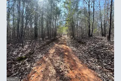 660 Brooks Road, Sandersville, GA 31082 - Photo 2