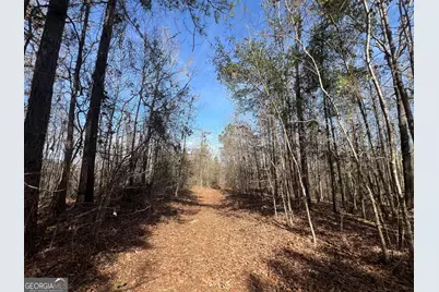 660 Brooks Road, Sandersville, GA 31082 - Photo 6