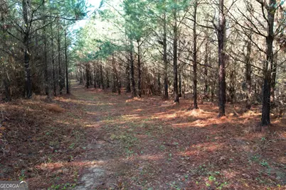 0 Burtons Ferry Highway, Sylvania, GA 30467 - Photo 12