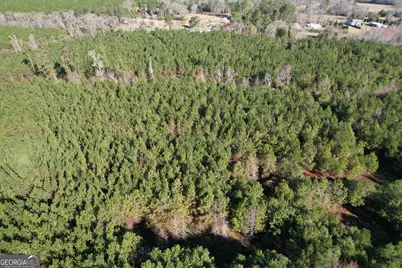 0 Burtons Ferry Highway, Sylvania, GA 30467 - Photo 4