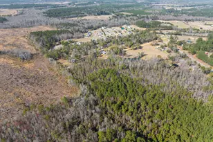 305 Satinwood Rd, Guyton, GA 31312 - Photo 46