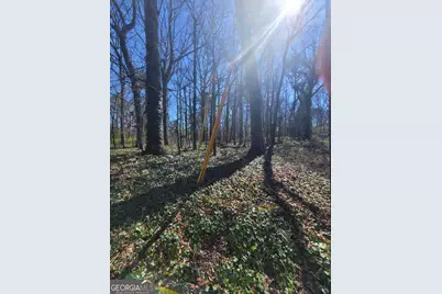 438 Hickory Hills Trail, Stone Mountain, GA 30083 - Photo 4