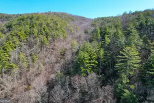 0 Peeples Lake Rd, Chatsworth, GA 30705 - Photo 6