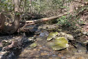 0 Peeples Lake Rd, Chatsworth, GA 30705 - Photo 20