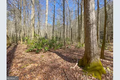 0 Peeples Lake Road, Chatsworth, GA 30705 - Photo 12