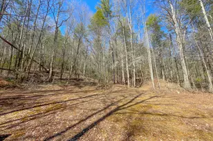 0 Peeples Lake Rd, Chatsworth, GA 30705 - Photo 34