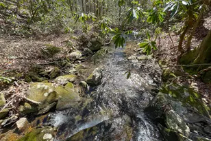 0 Peeples Lake Rd, Chatsworth, GA 30705 - Photo 24