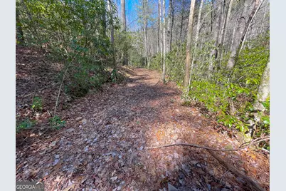 0 Peeples Lake Road, Chatsworth, GA 30705 - Photo 26