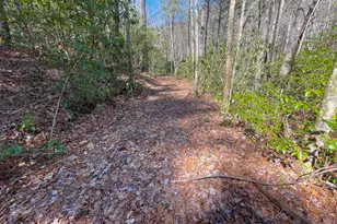 0 Peeples Lake Rd, Chatsworth, GA 30705 - Photo 26