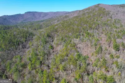 0 Peeples Lake Road, Chatsworth, GA 30705 - Photo 1