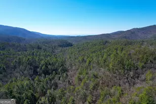 0 Peeples Lake Rd, Chatsworth, GA 30705 - Photo 14