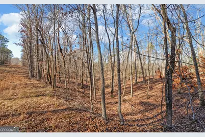 4431 Jim Hood Road, Gainesville, GA 30506 - Photo 20