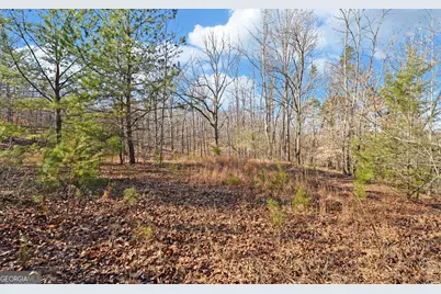 4431 Jim Hood Road, Gainesville, GA 30506 - Photo 26