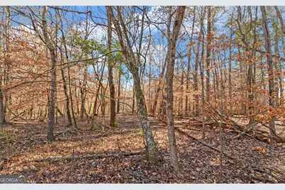 4431 Jim Hood Road, Gainesville, GA 30506 - Photo 16