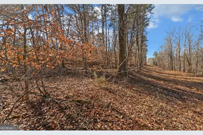 4431 Jim Hood Road, Gainesville, GA 30506 - Photo 18