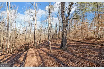 4431 Jim Hood Road, Gainesville, GA 30506 - Photo 30