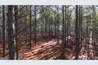 32 Acres On Bac Tract 14, Lyerly, GA 30730 - Photo 2
