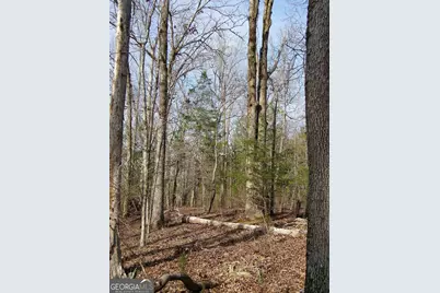 Lot 15 Blackberry Bend, Elberton, GA 30635 - Photo 12