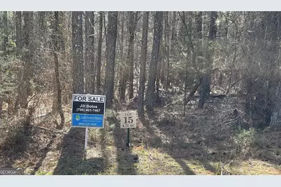 Lot 15 Blackberry Bend, Elberton, GA 30635 - Photo 1