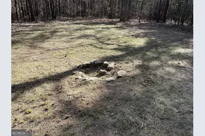 Lot 15 Blackberry Bend, Elberton, GA 30635 - Photo 8