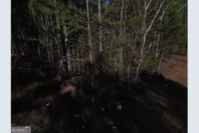 15693 Tanglewood Drive, Elberton, GA 30635 - Photo 4