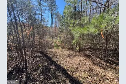 0 Brown Creek Road, Shiloh, GA 31826 - Photo 2