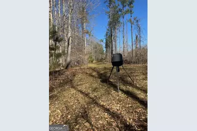 0 Brown Creek Road, Shiloh, GA 31826 - Photo 26