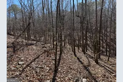 0 Brown Creek Road, Shiloh, GA 31826 - Photo 12