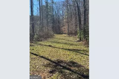 0 Brown Creek Road, Shiloh, GA 31826 - Photo 6