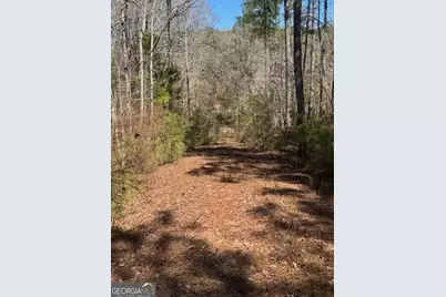 0 Brown Creek Road, Shiloh, GA 31826 - Photo 28