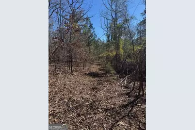 0 Brown Creek Road, Shiloh, GA 31826 - Photo 22