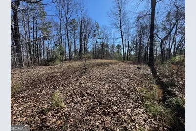 0 Brown Creek Road, Shiloh, GA 31826 - Photo 18